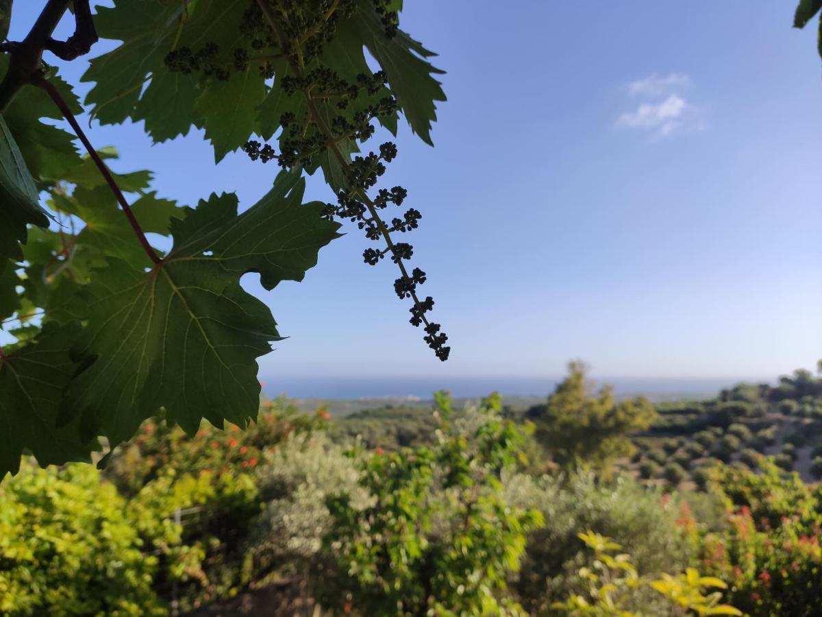 Villa Kara - Bed And Breakfast Μέση Εξωτερικό φωτογραφία