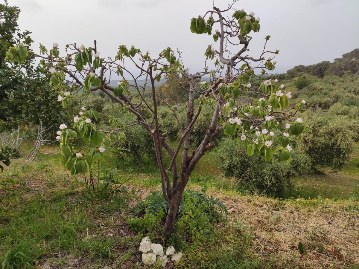 Villa Kara - Bed And Breakfast Μέση Εξωτερικό φωτογραφία