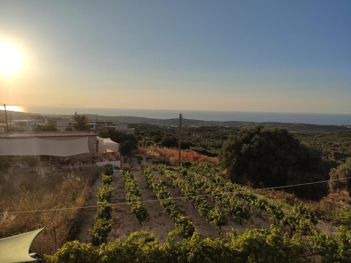 Villa Kara - Bed And Breakfast Μέση Εξωτερικό φωτογραφία